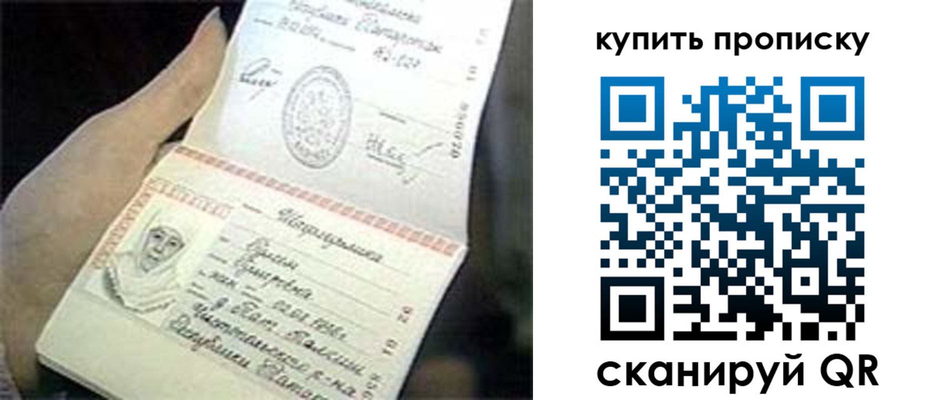 прописка в Владимире